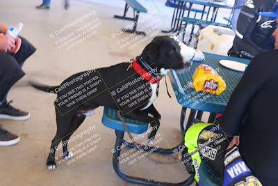 media/Mar-23-2025-TrackDaz (Sun) [[88a7749186]]/Around the Pits/